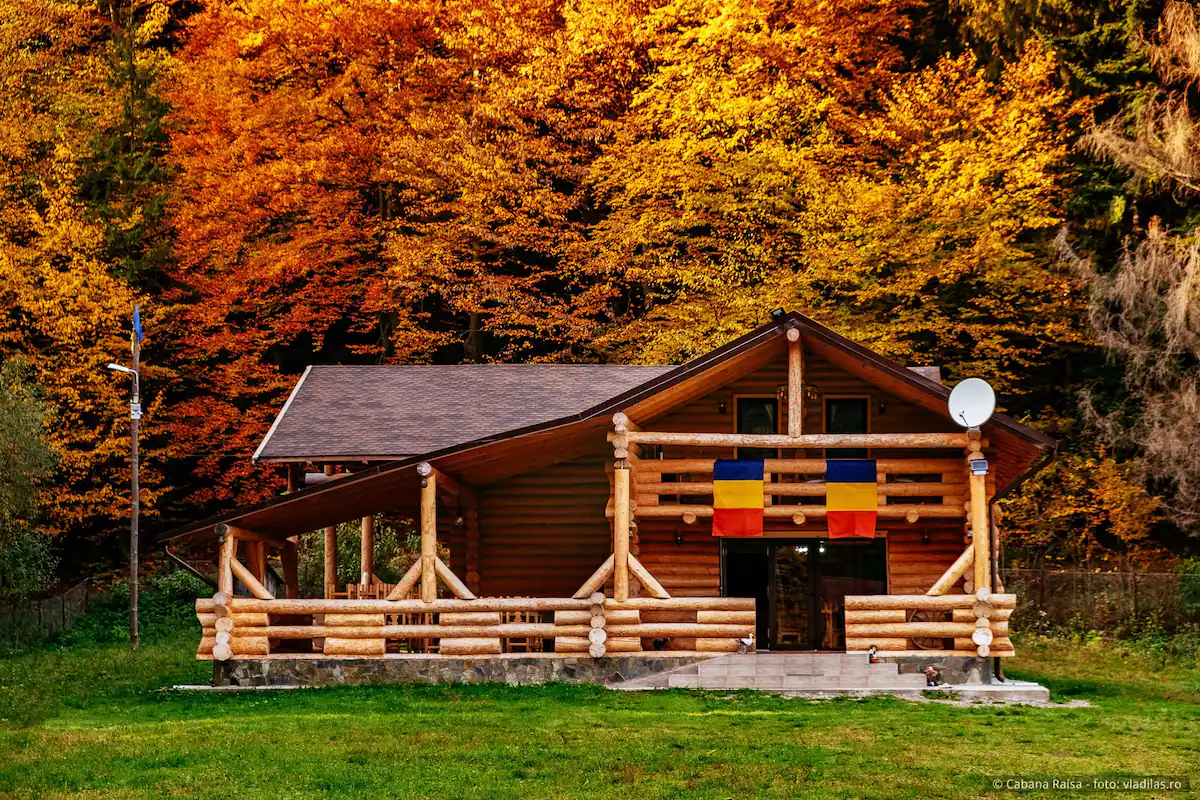 cabin